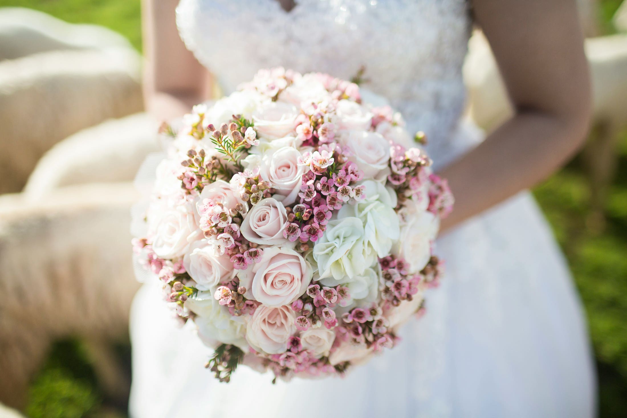 bride holding white flower bouquet